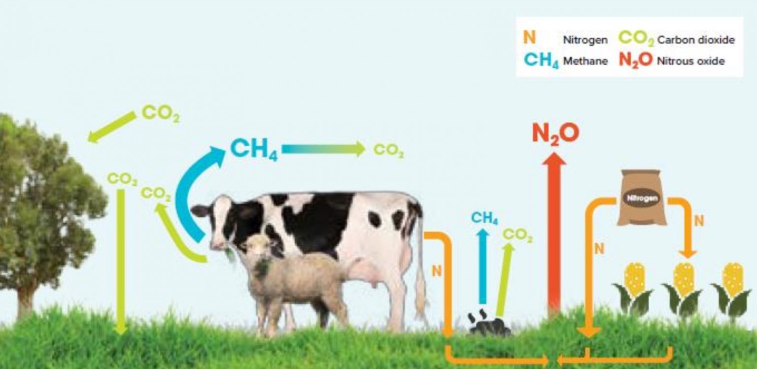 Mitigating Greenhouse Gas Emissions from NZ pasture-based livestock ...